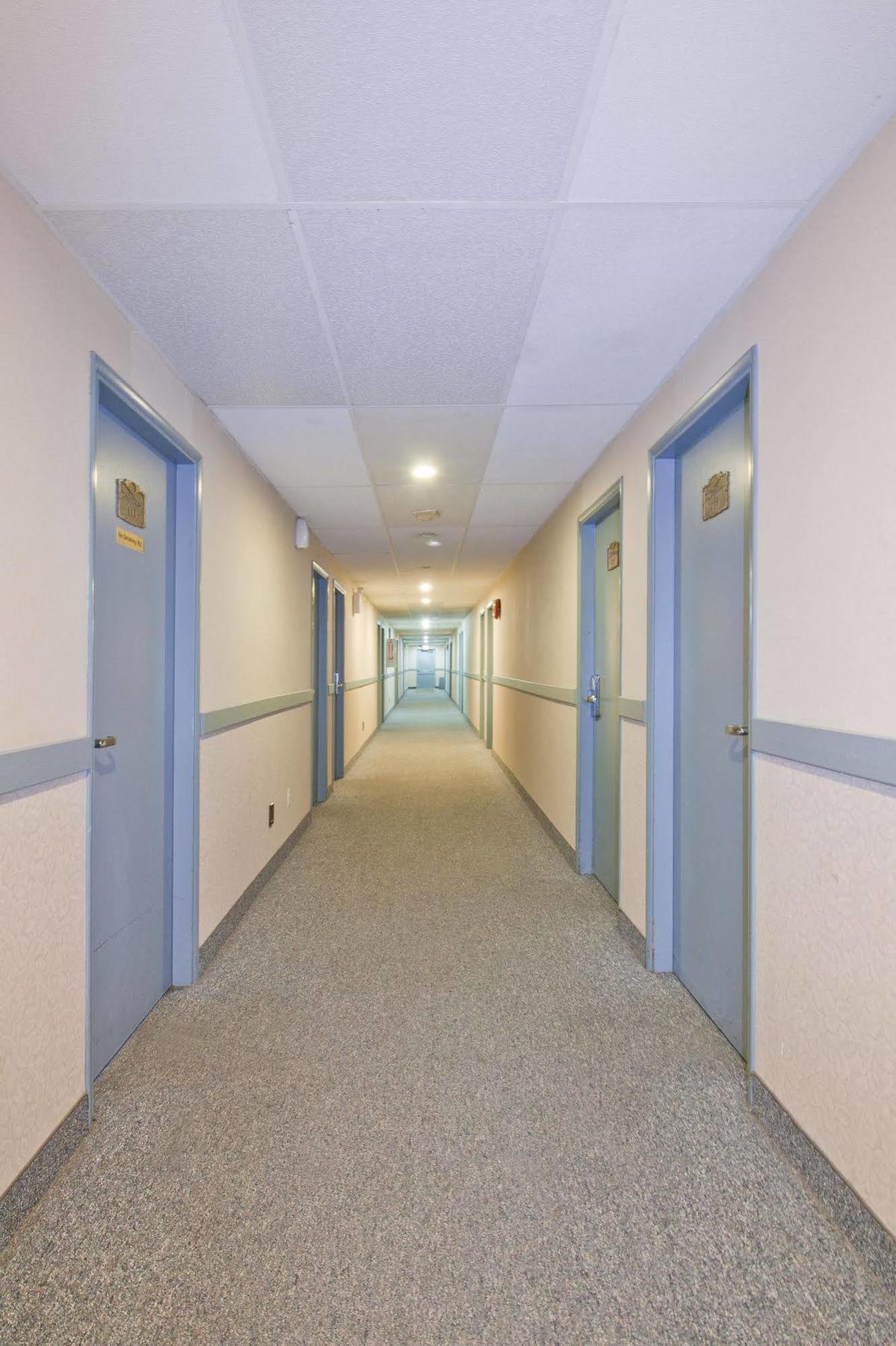 Springs Motor Inn Wainwright ภายนอก รูปภาพ